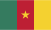 Cameroon flag