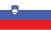 Slovenia flag